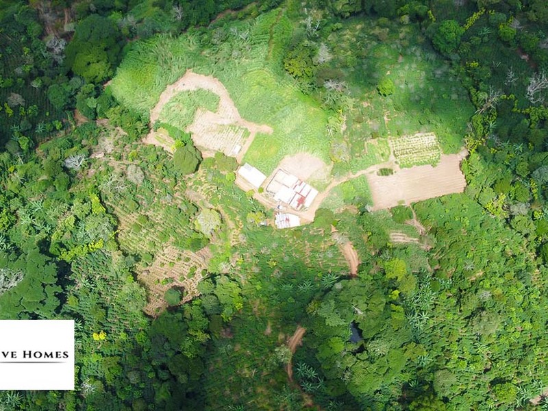 0 bed Farm And Ranch For Sale in Atenas, 